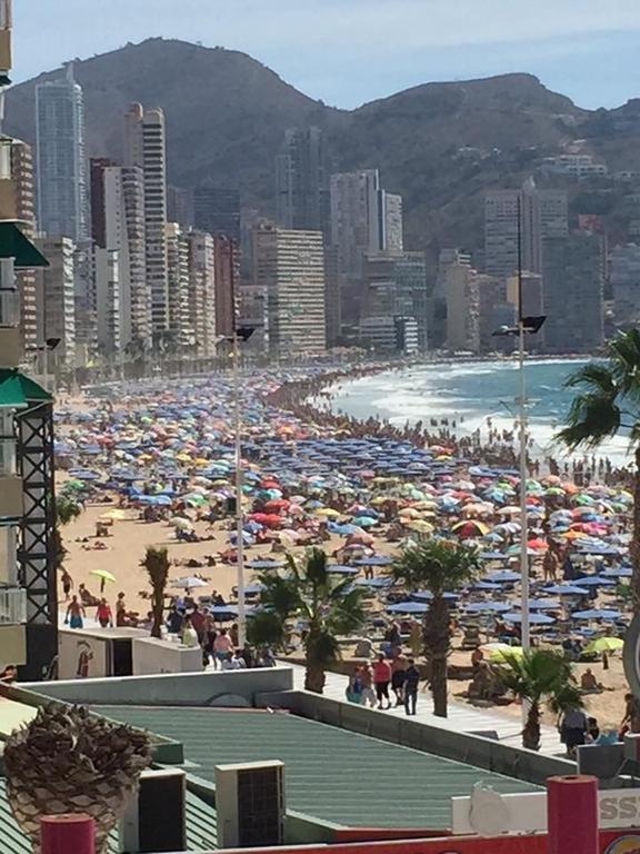 La Gavina Daire Benidorm Oda fotoğraf